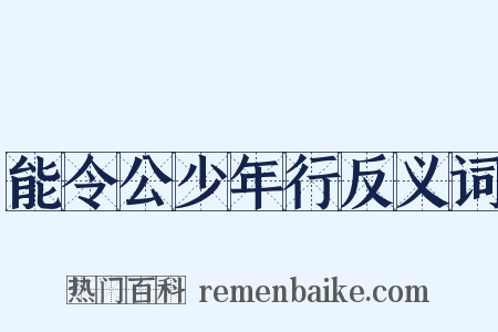 能令公少年行反义词是什么意思的图片